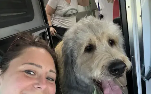 You Dirty Dog Mobile Grooming Spa LLC in Oak Grove, OR