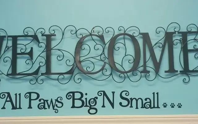Sassy N Classy Paws LLC in Diamondhead, MS