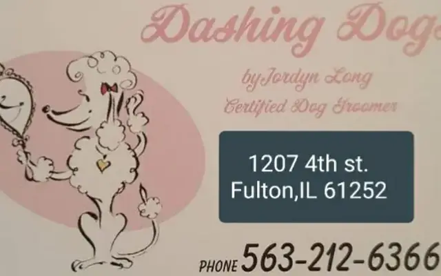 Dashing dogs in Fulton, IL