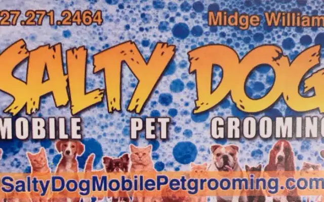 Salty Dog Mobile Pet Grooming in Tampa, FL