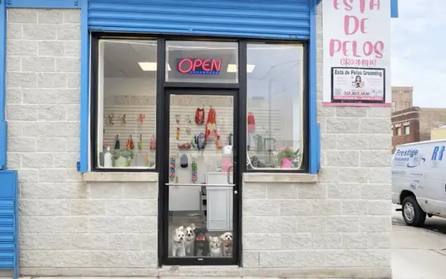 Esta De Pelos Grooming LLC. in Chicago, IL