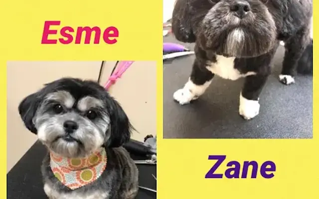 Its All About Me Grooming Spa in Opelousas, LA