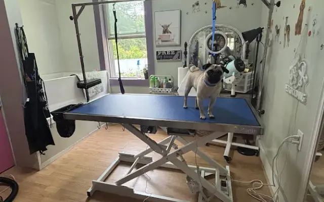 Carrie’s Grooming Room in Sturbridge, MA