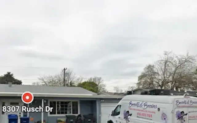 Beauty & Brains Mobile Grooming and Dog Training in Citrus Heights, CA