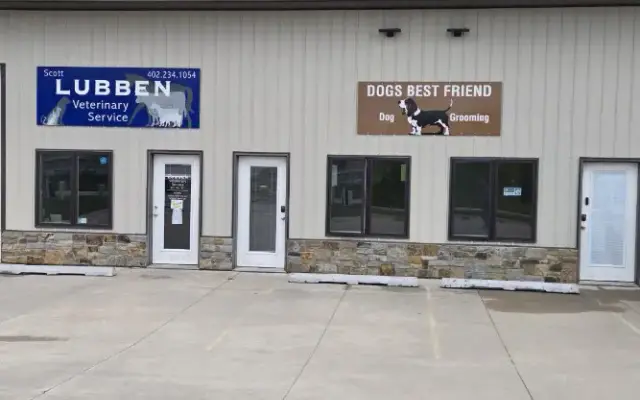 Dogs Best friend in Louisville, NE