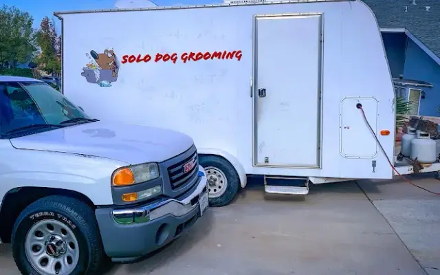 Solo Dog Grooming in Corona, CA