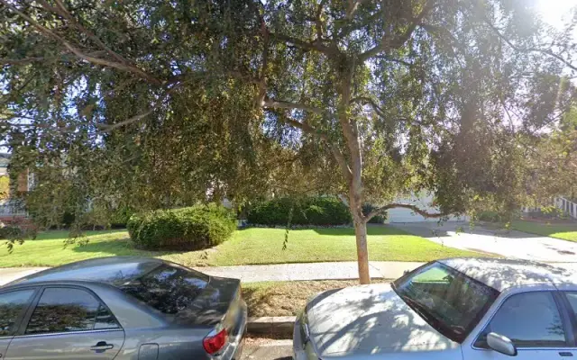 Grooming Pet🐩 in Culver City, CA