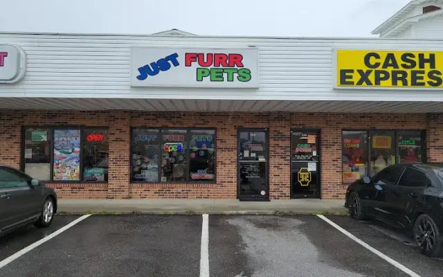 Just Furr-Pets in Sevierville, TN