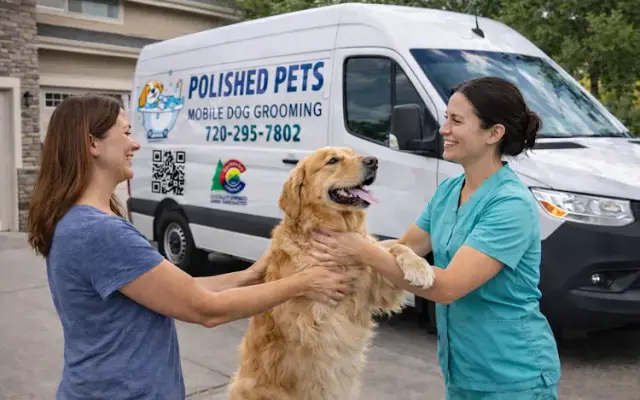 Polished Pets Mobile Dog Grooming in Commerce City, CO