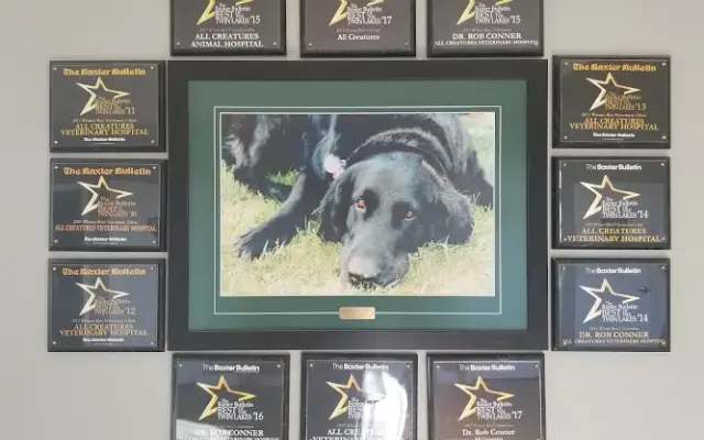 All Creatures Veterinary Hospital in Mountain Home, AR