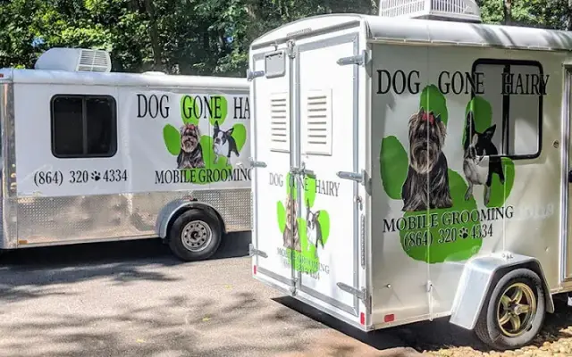 Dog Gone Hairy Mobile Grooming in Simpsonville, SC