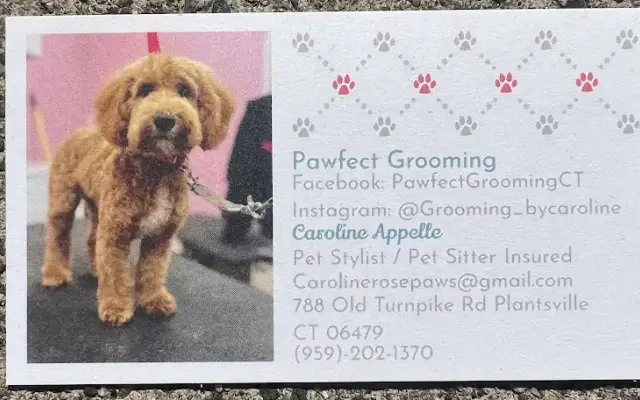 Pawfect Grooming in Plantsville, CT