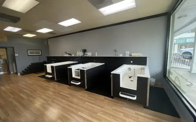Barkin' Pups Spa in Veneta, OR