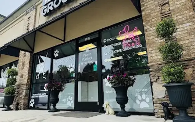 Pawsh Purrfect Grooming in Cumming, GA