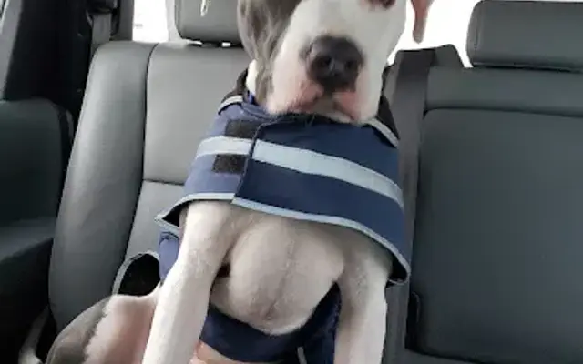Cassie's Movn' & Groomn' in Hartford, WI