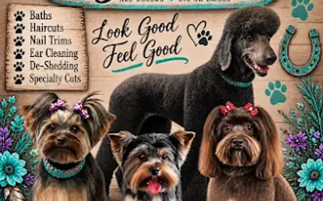 The Gypsy Groomer in Eagle, ID