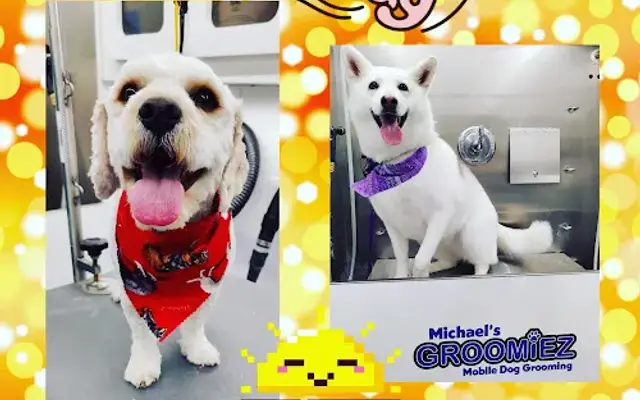 Michael's Groomiez in San Bernardino, CA