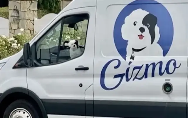 Gizmo pet spa in Carson, CA