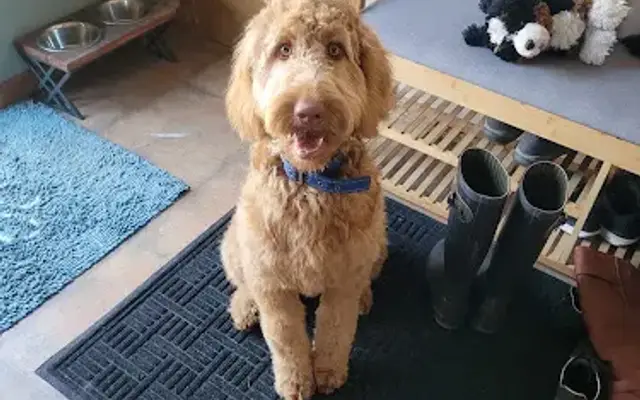 Sue's Country Grooming in Viroqua, WI