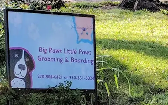 Big Paws Little Paws Pet Grooming in Mayfield, KY