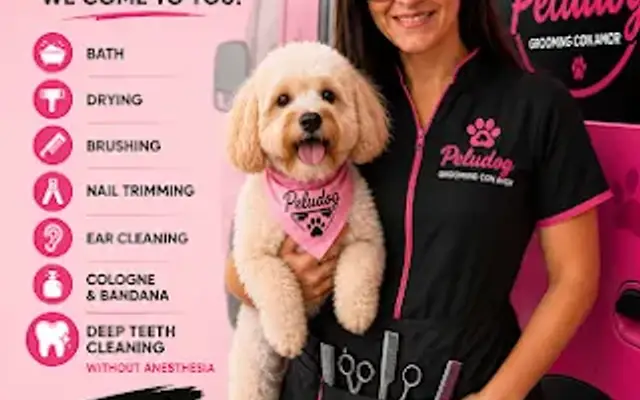 PELUDOG Mobile Pet Grooming in St Cloud, FL