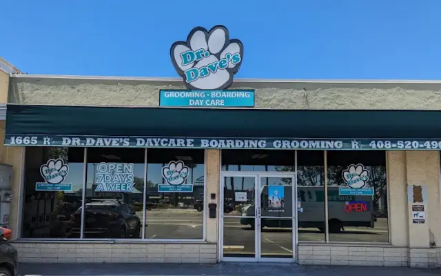 Dr. Dave's Doggy Daycare, Boarding, & Grooming in Campbell, CA