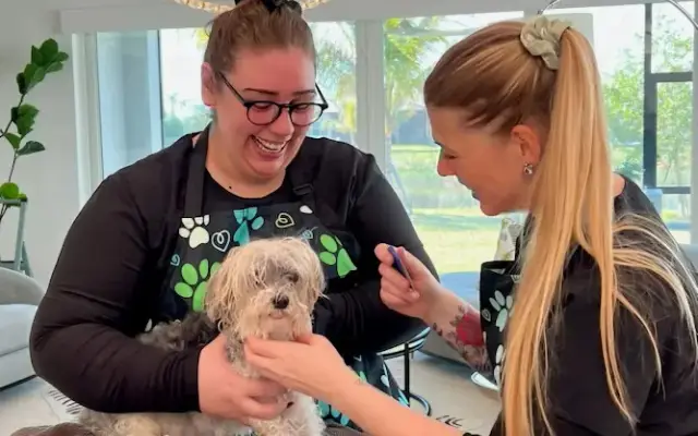 The Pawfectionists of SWFL LLC in Lehigh Acres, FL