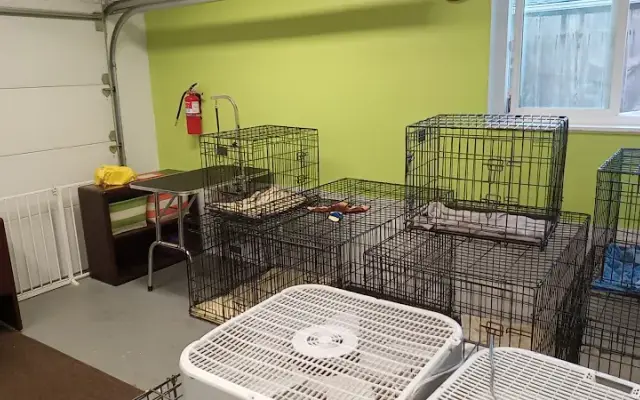 Natalia's Pet Grooming in Scotts Valley, CA