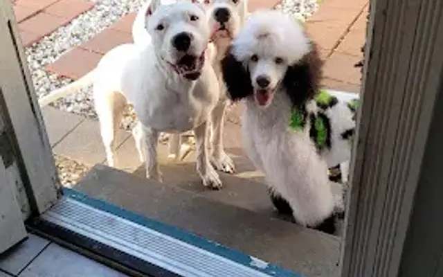 A Place For Paws in Beeville, TX