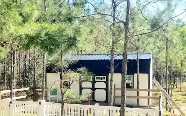 Pups In The Pines in Bell, FL