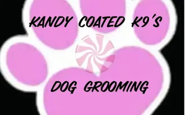 Kandy Coated K9s in Yakima, WA