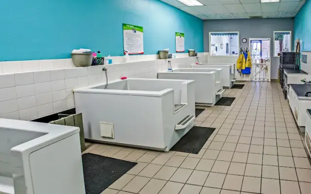 Dirty Paws Pet Wash in San Diego, CA