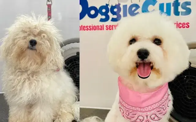 Doggiecuts Mobile in Rockwall, TX