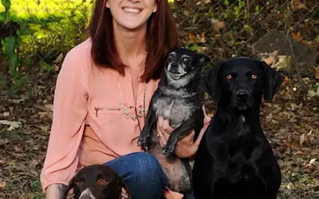 Andrea's Grooming Dogs in Munford, TN