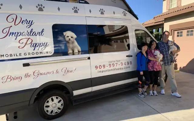Very Important Puppy in Fontana, CA