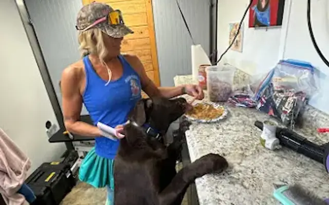Morgan Mobile Pet Grooming in Prescott Valley, AZ