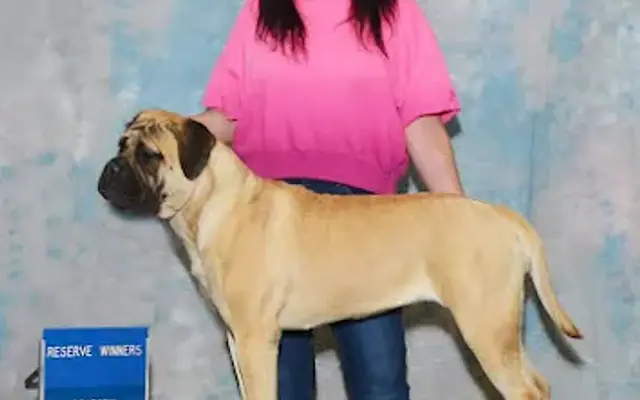 Jenn's Elite Grooming in Leander, TX