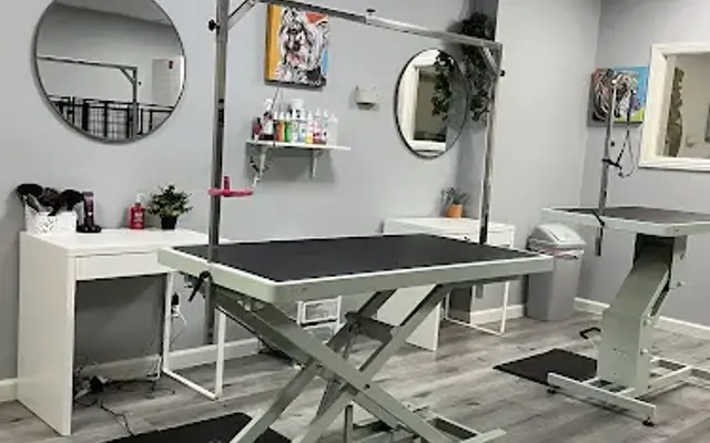 The Fur Gala Dog Grooming in La Mesa, CA