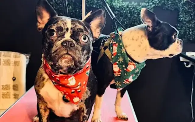 Boujee Baths Pet Spa in Andalusia, AL