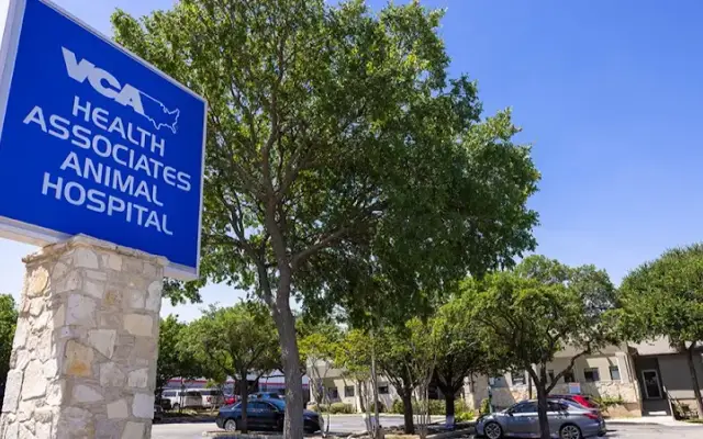 VCA Health Associates Animal Hospital in San Antonio, TX
