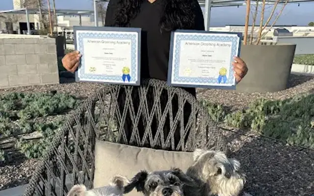 The Schnauzy Spaw in Carson, CA