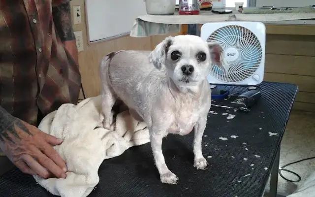 La Paws Dog Grooming in Quartzsite, AZ