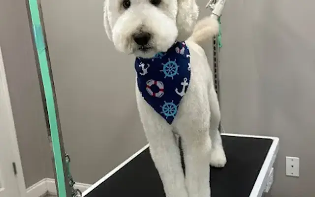 Laura’s Luxury Dog Grooming in Ponchatoula, LA