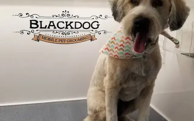 BlackDog Mobile Pet Grooming in Omaha, NE