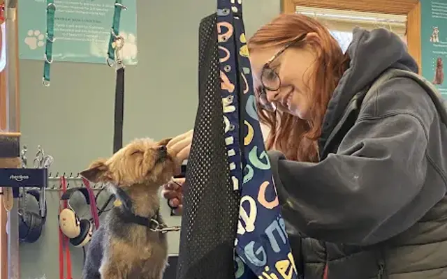 Darling Dogs Mobile Grooming LLC in Saratoga Springs, NY