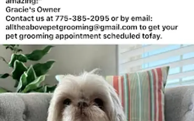 All The Above Pet Grooming Salon LLC in Spring Creek, NV