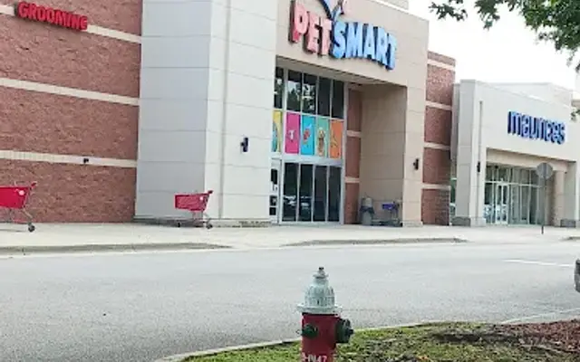 PetSmart in Pace, FL