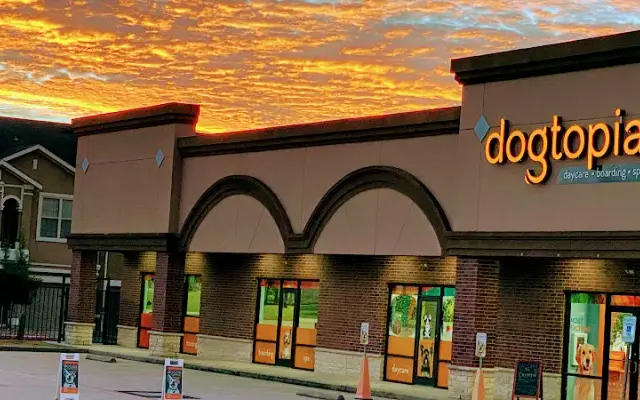 Dogtopia of The Woodlands North in Conroe, TX