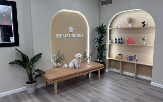 Hello Doggy Inc in Cliffside Park, NJ