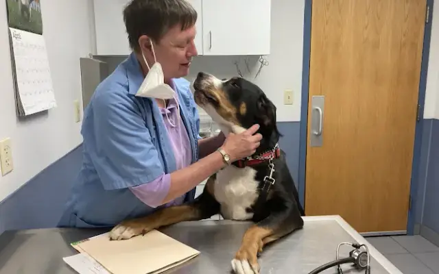 West Chester Animal Hospital in West Chester, PA